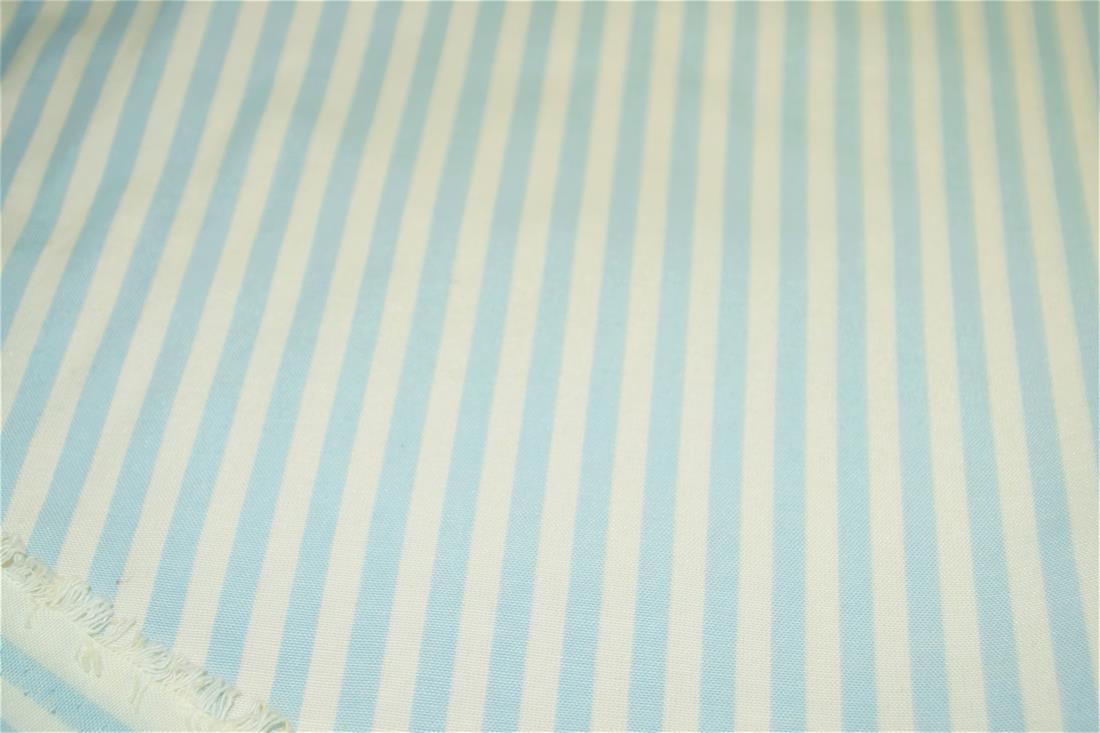 Printed Thin Stripes Canvas Fabric