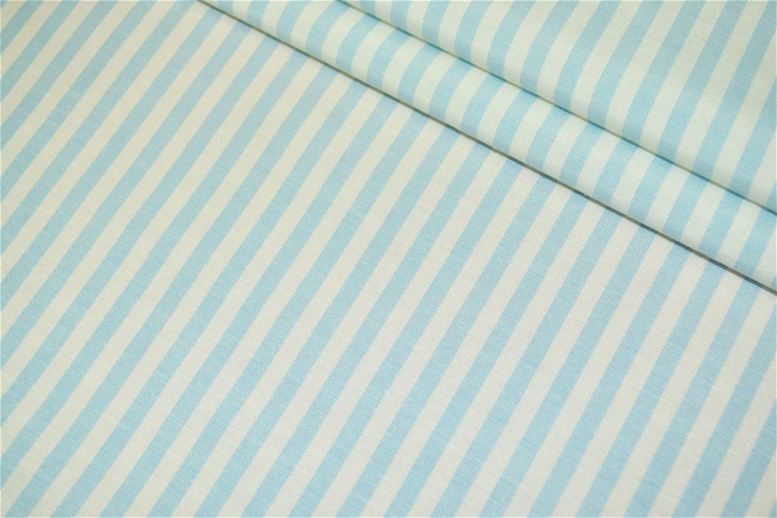 Printed Thin Stripes Canvas Fabric