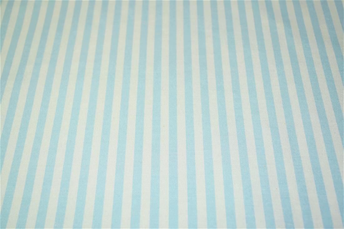 Printed Thin Stripes Canvas Fabric