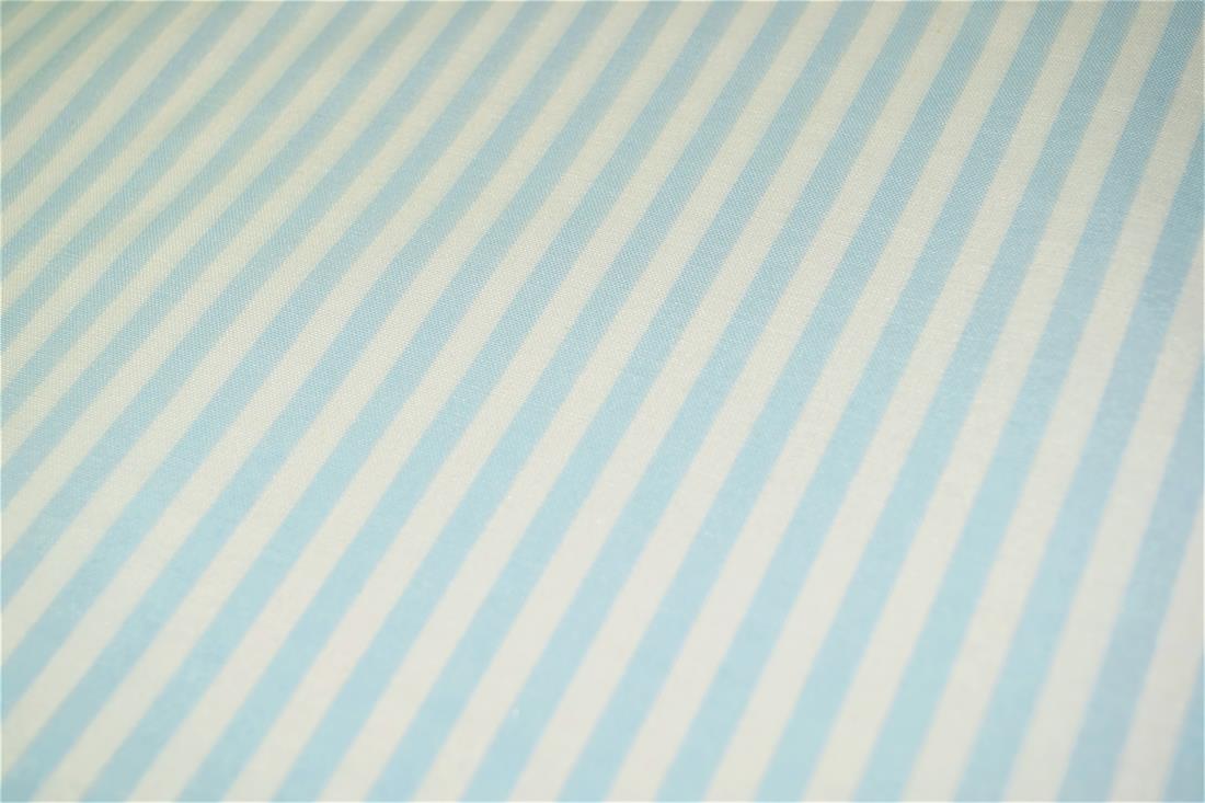 Printed Thin Stripes Canvas Fabric
