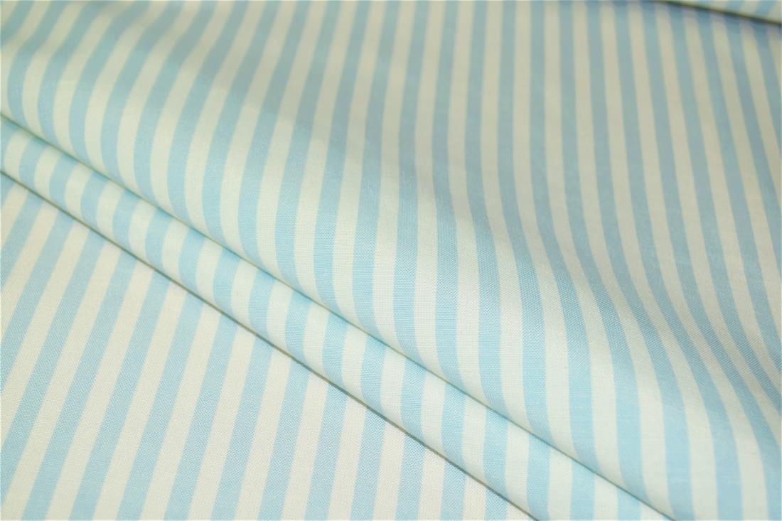 Printed Thin Stripes Canvas Fabric