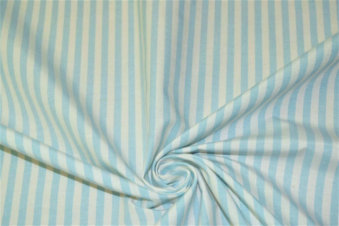 Printed Thin Stripes Canvas Fabric