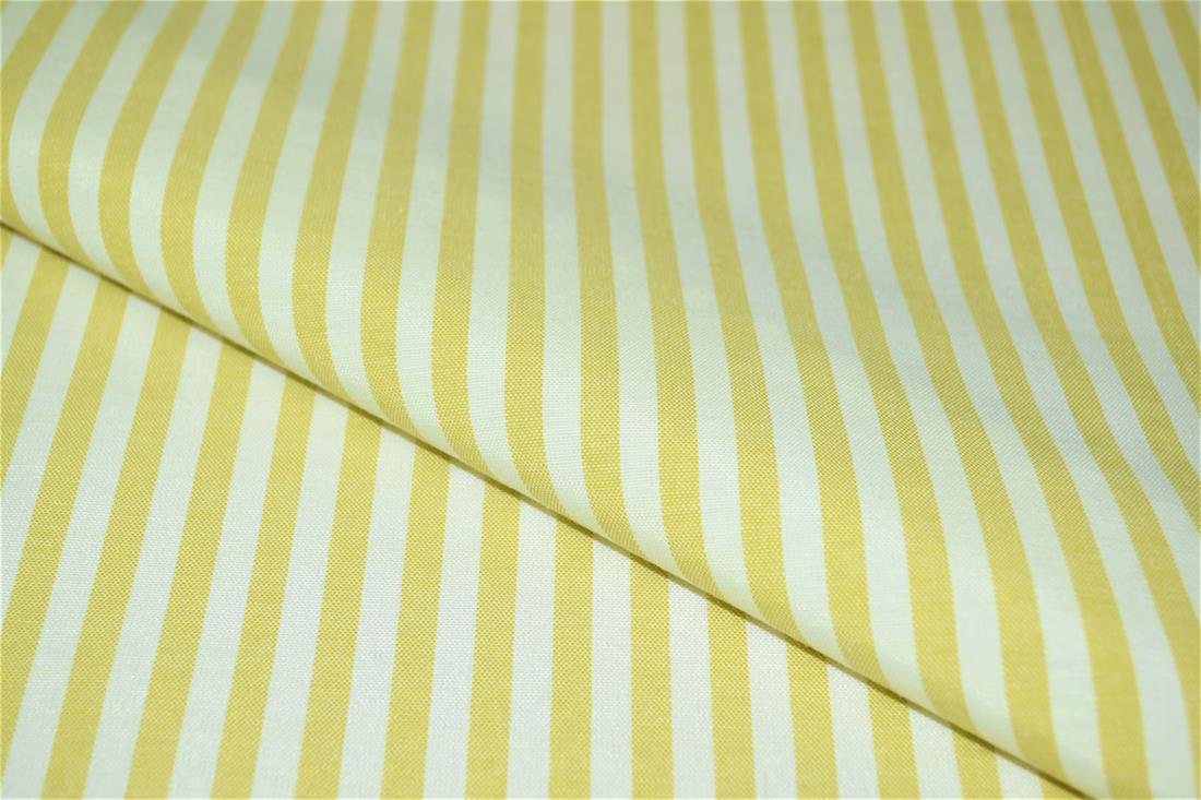 Printed Thin Stripes Canvas Fabric
