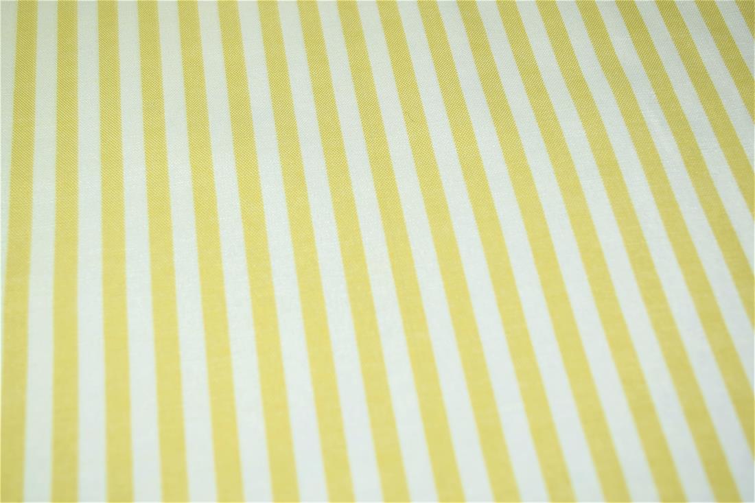 Printed Thin Stripes Canvas Fabric