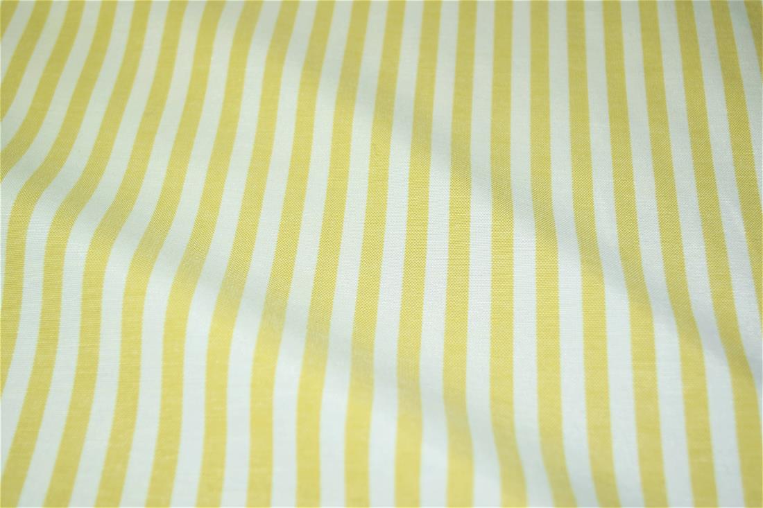 Printed Thin Stripes Canvas Fabric