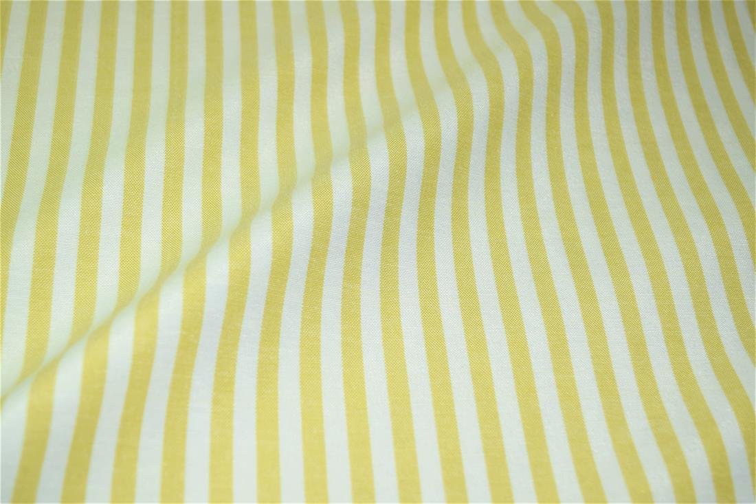 Printed Thin Stripes Canvas Fabric