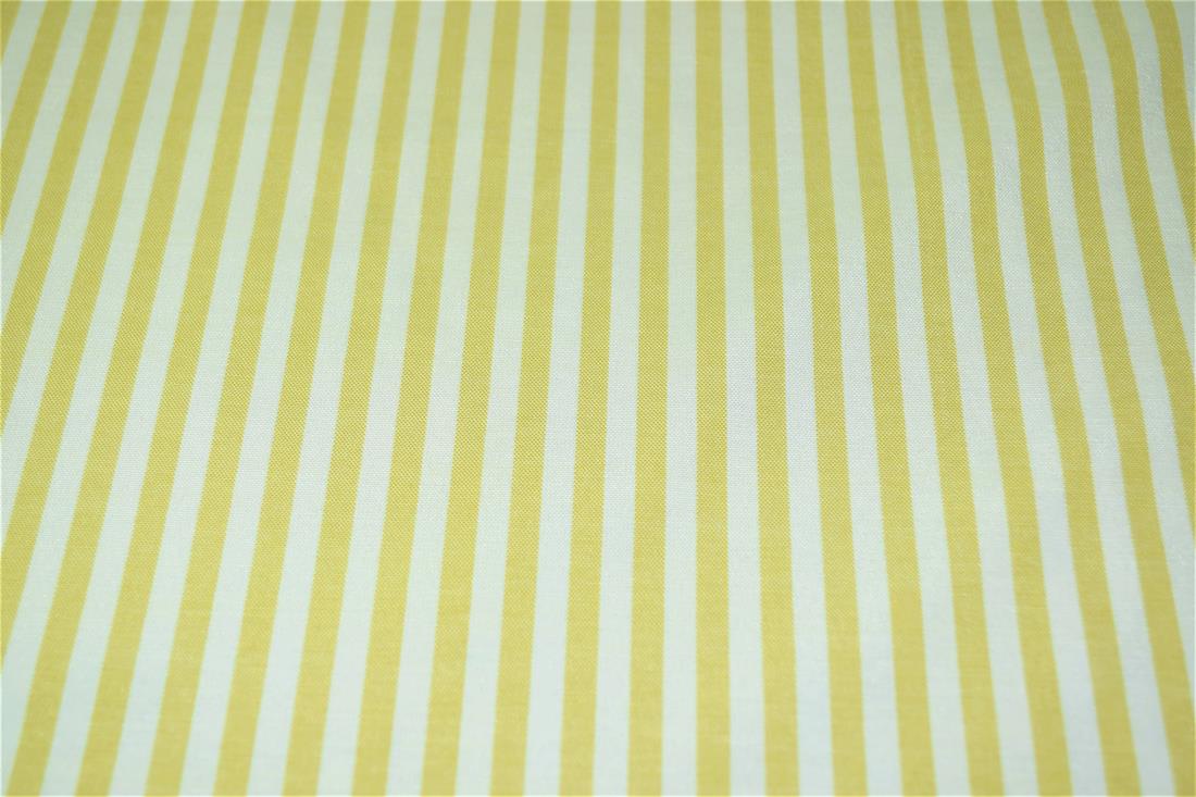 Printed Thin Stripes Canvas Fabric
