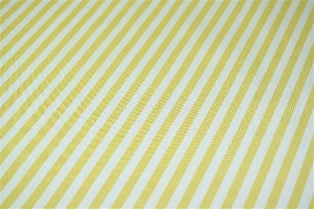 Printed Thin Stripes Canvas Fabric