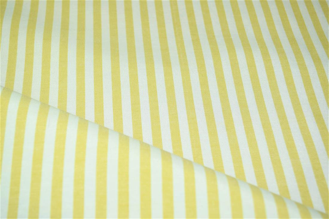 Printed Thin Stripes Canvas Fabric