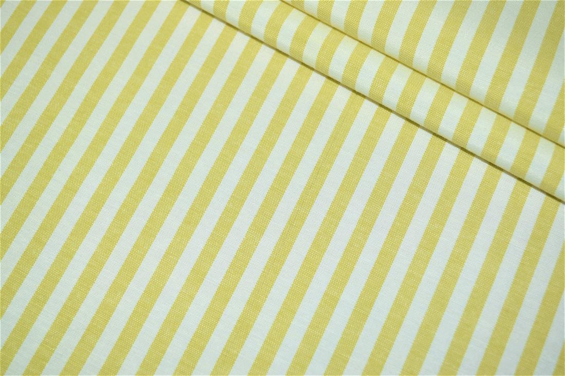 Printed Thin Stripes Canvas Fabric