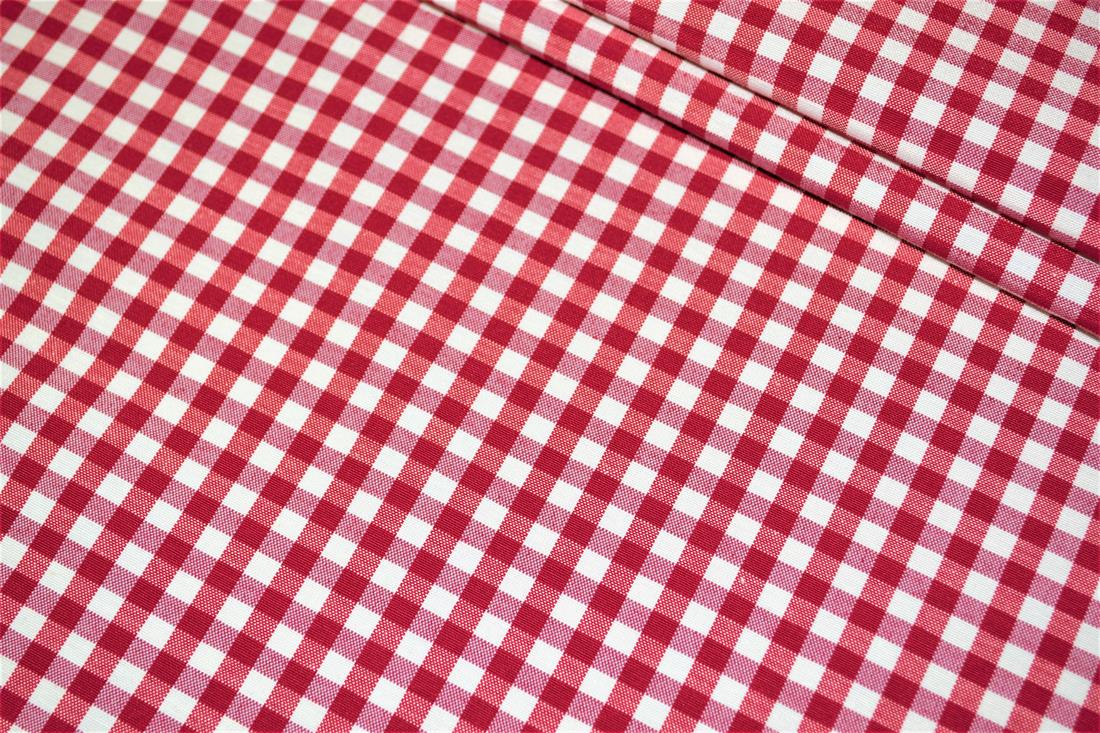 Printed Small Gingham Canvas Fabric