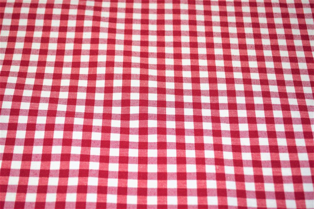 Printed Small Gingham Canvas Fabric