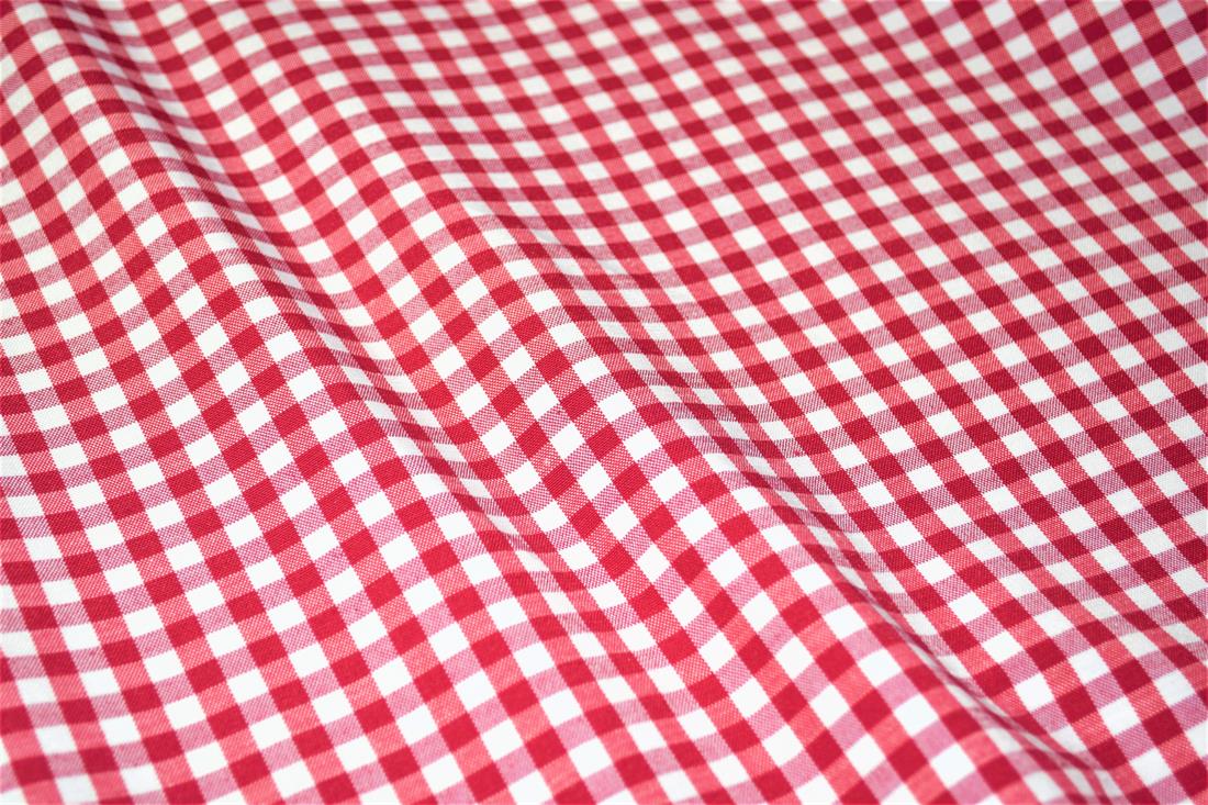 Printed Small Gingham Canvas Fabric