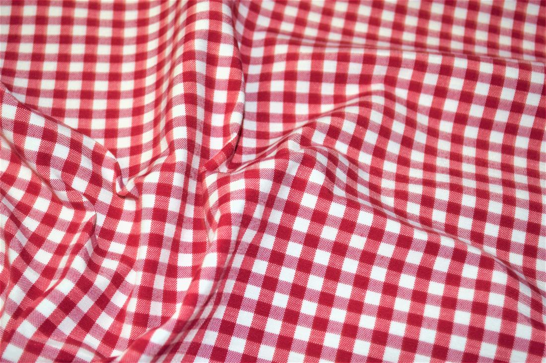 Printed Small Gingham Canvas Fabric