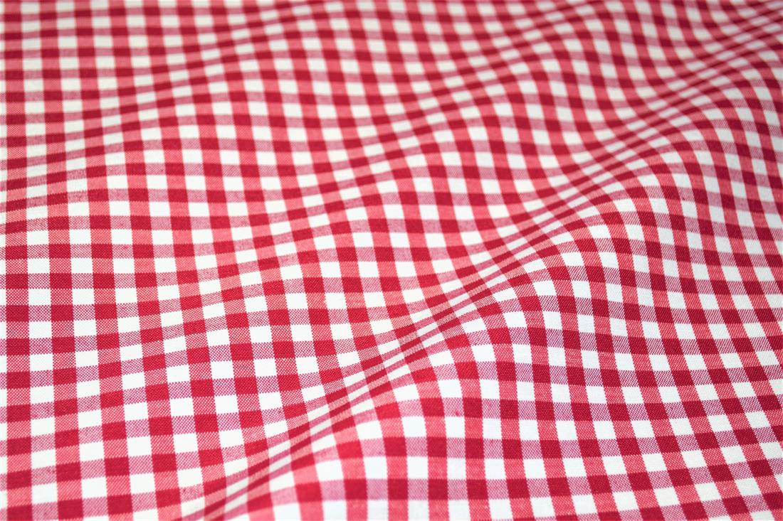 Printed Small Gingham Canvas Fabric