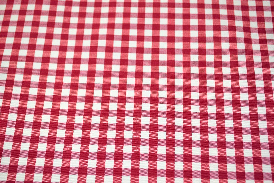 Printed Small Gingham Canvas Fabric