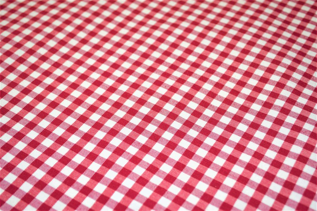 Printed Small Gingham Canvas Fabric