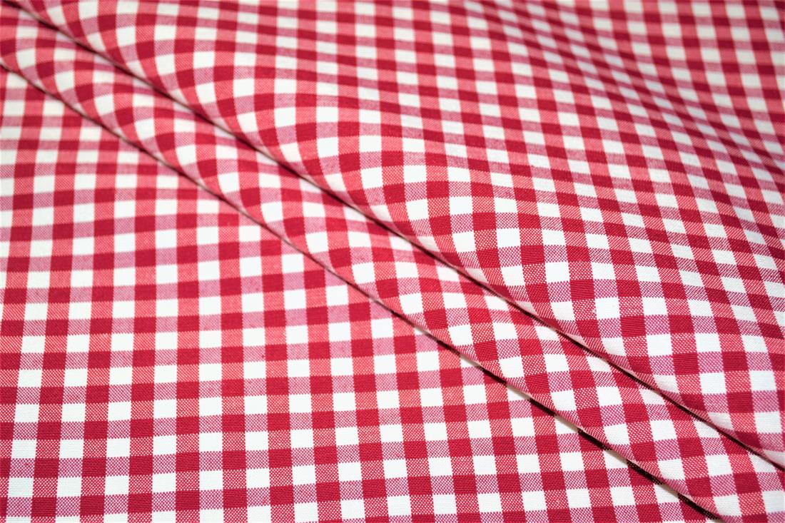 Printed Small Gingham Canvas Fabric