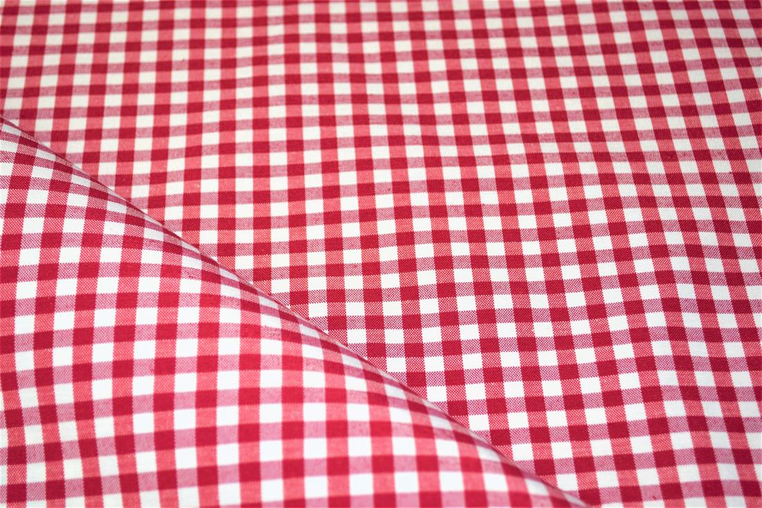 Printed Small Gingham Canvas Fabric