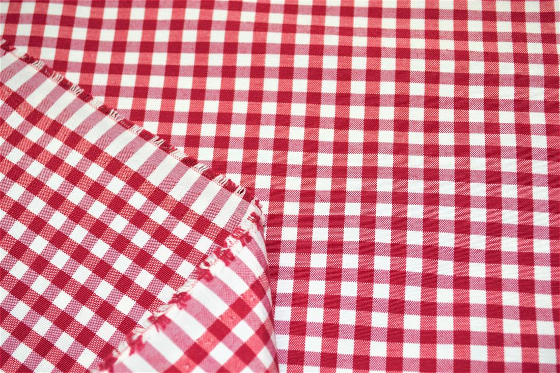 Printed Small Gingham Canvas Fabric