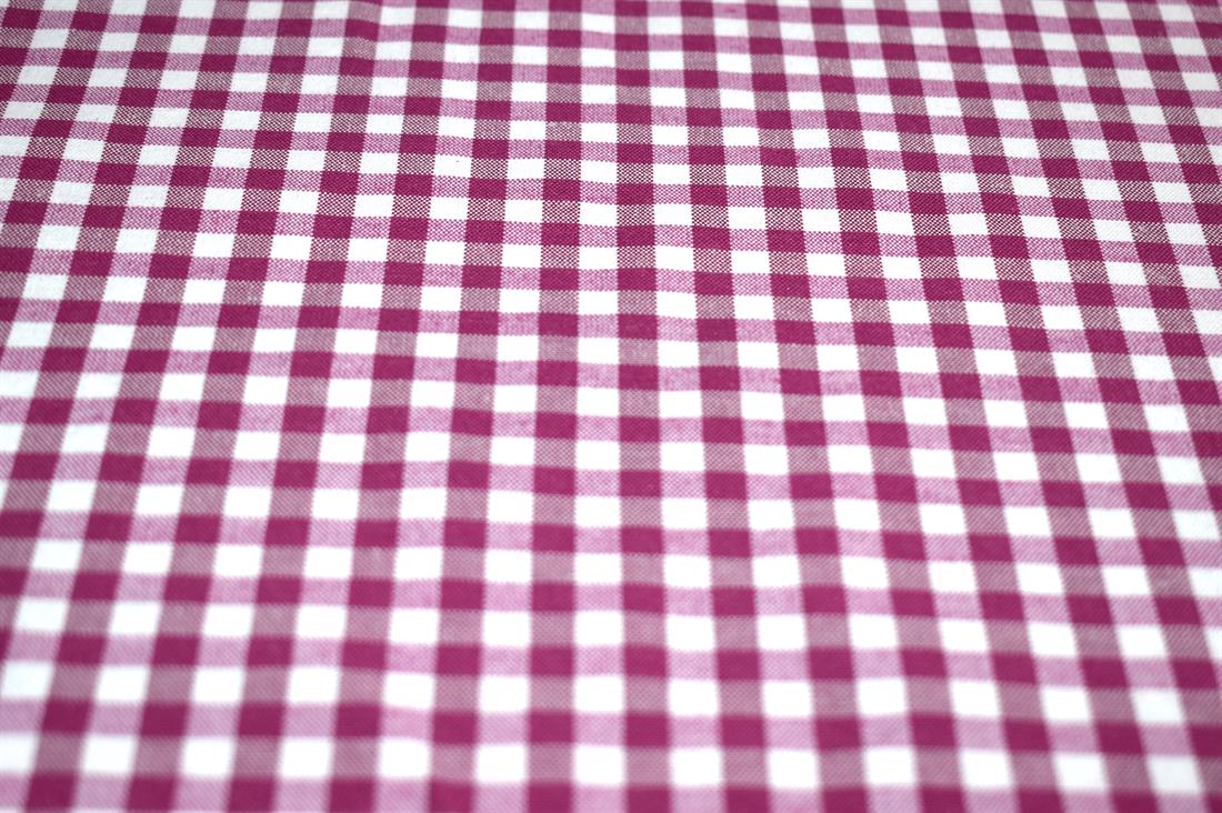 Printed Small Gingham Canvas Fabric