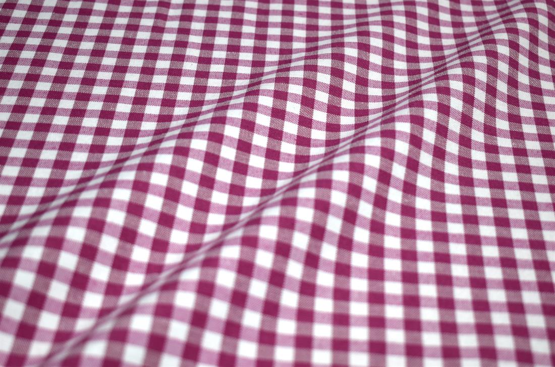 Printed Small Gingham Canvas Fabric
