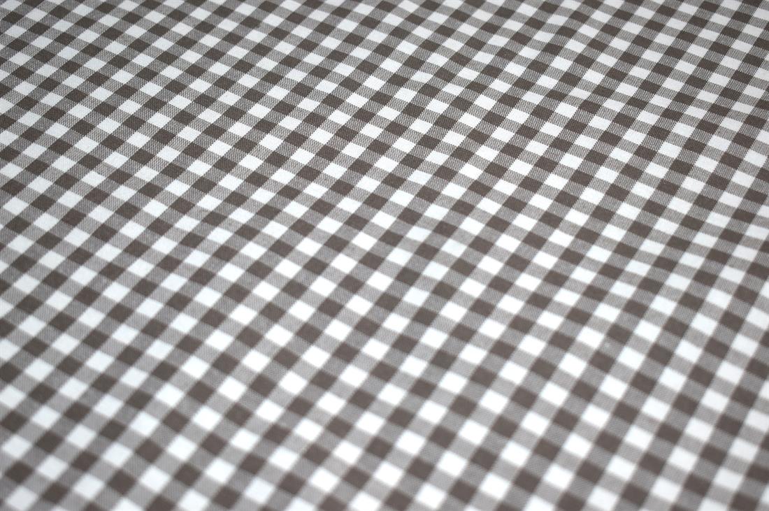 Printed Small Gingham Canvas Fabric