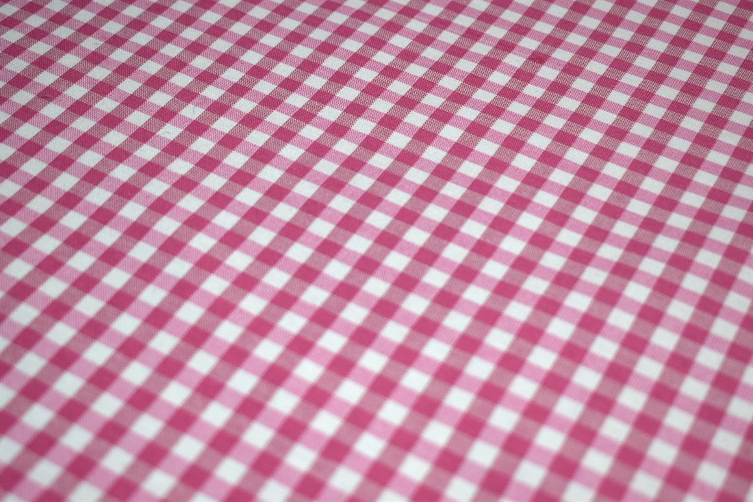 Printed Small Gingham Canvas Fabric