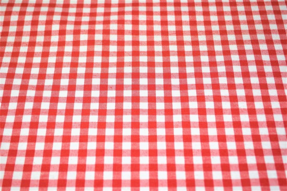 Printed Small Gingham Canvas Fabric