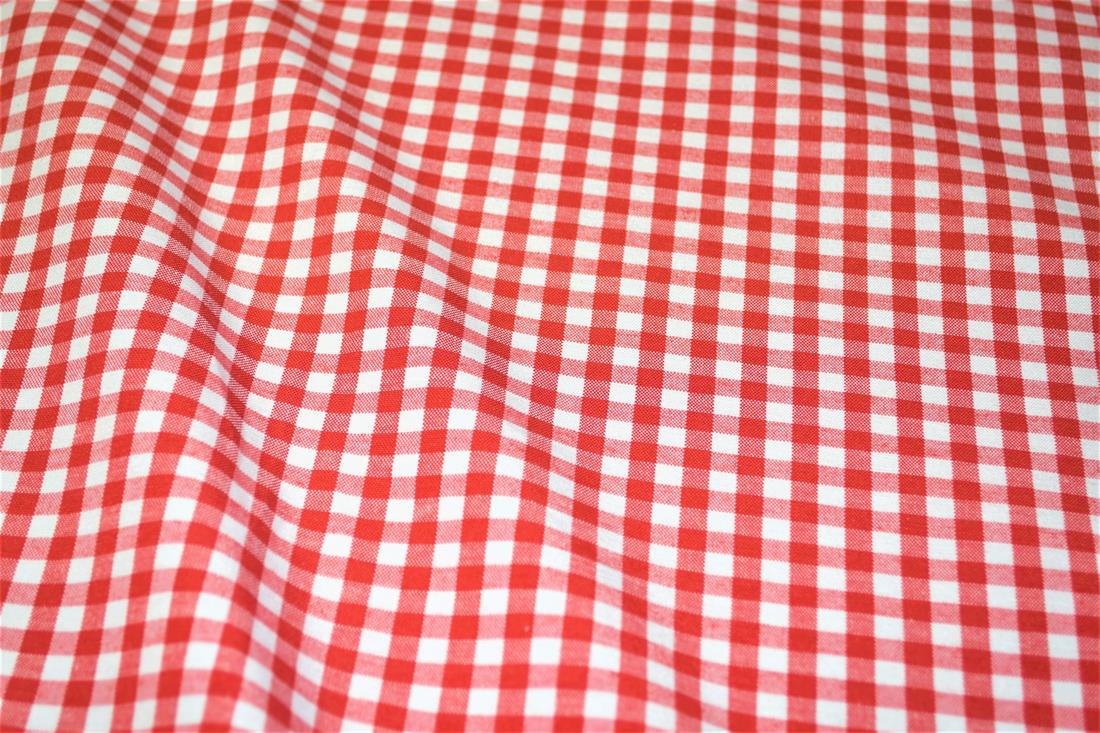 Printed Small Gingham Canvas Fabric