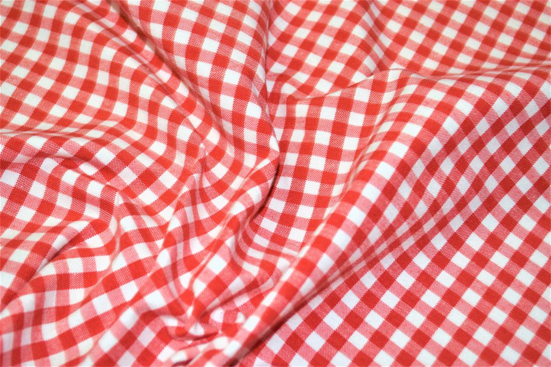 Printed Small Gingham Canvas Fabric