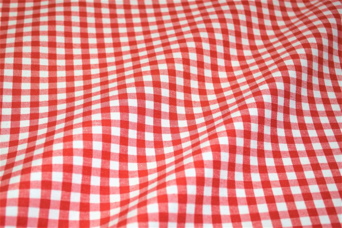 Printed Small Gingham Canvas Fabric