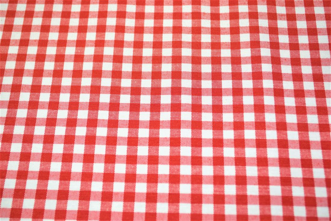 Printed Small Gingham Canvas Fabric