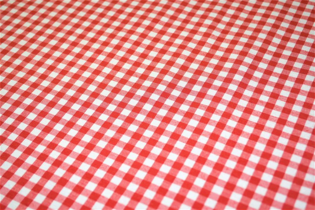 Printed Small Gingham Canvas Fabric