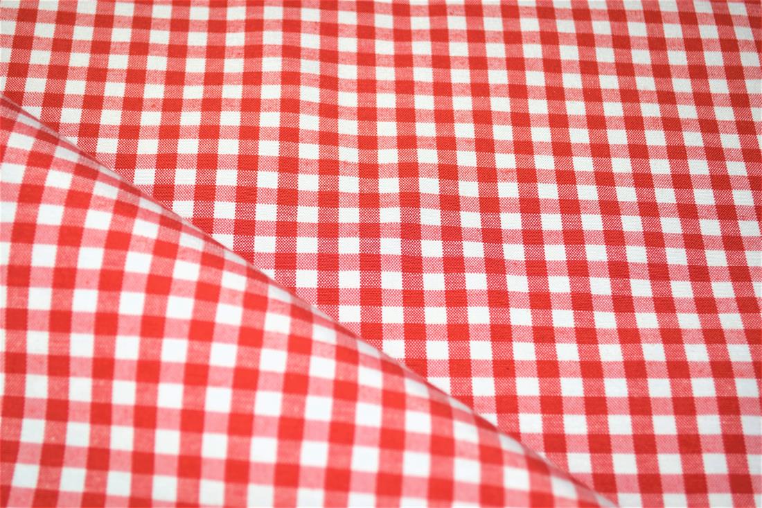 Printed Small Gingham Canvas Fabric
