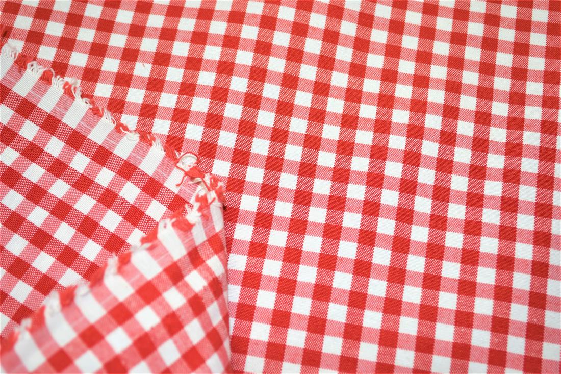 Printed Small Gingham Canvas Fabric