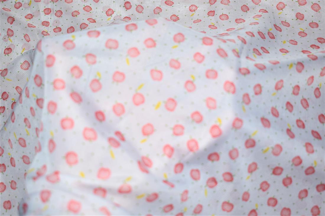 Quality Printed Chiffon