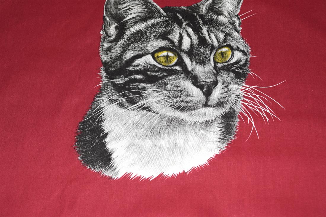 Cats Cotton Fabric