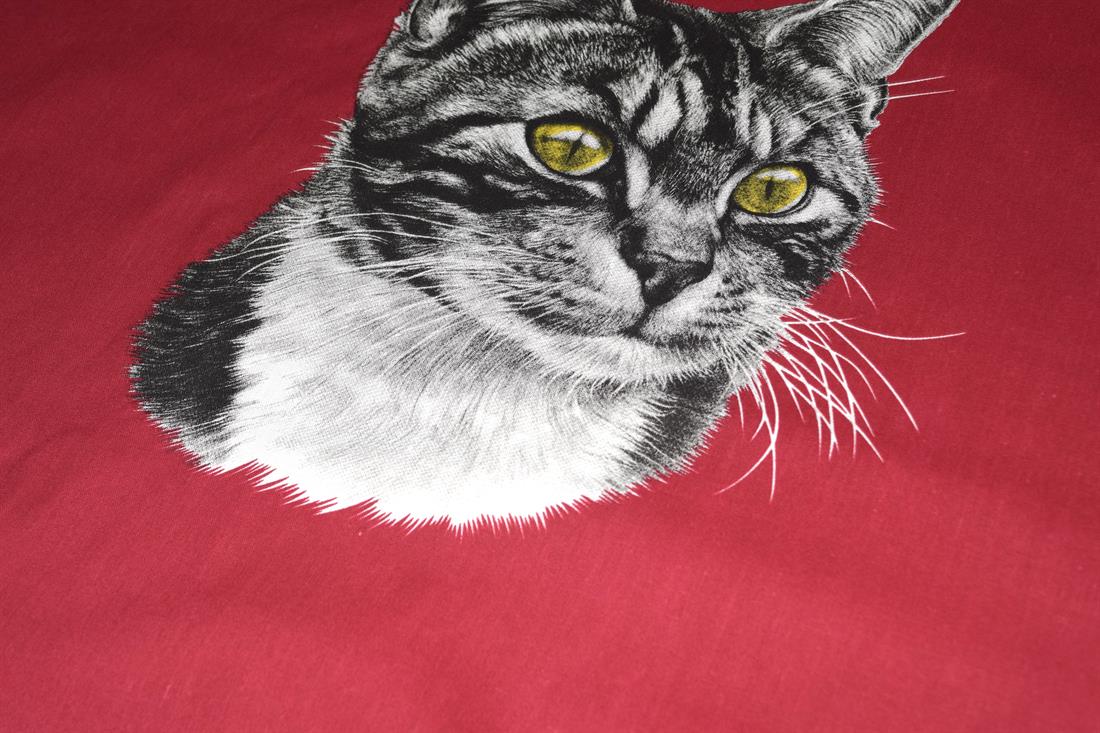 Cats Cotton Fabric