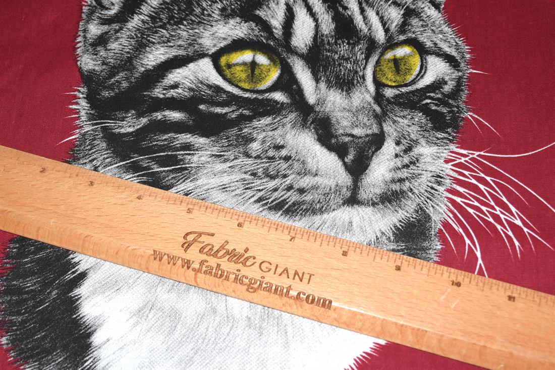 Cats Cotton Fabric