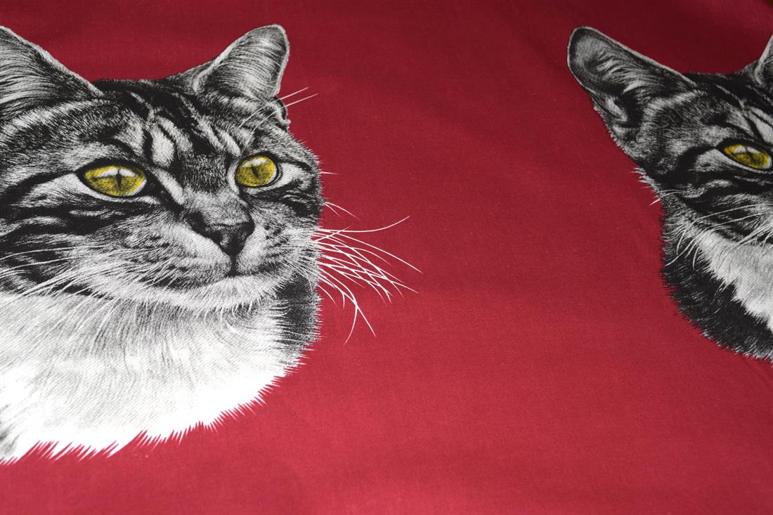 Cats Cotton Fabric