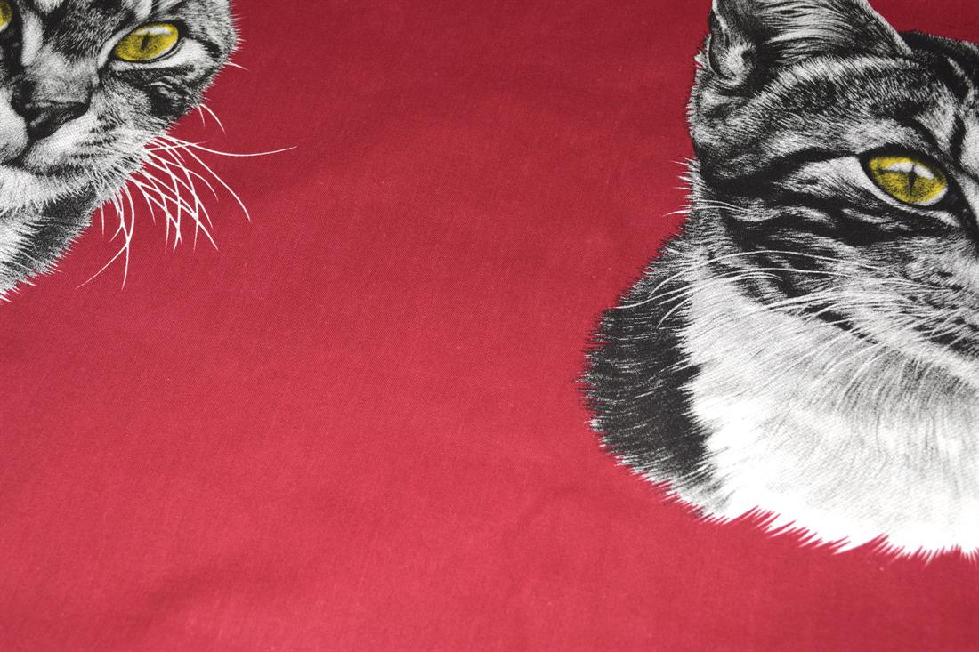 Cats Cotton Fabric