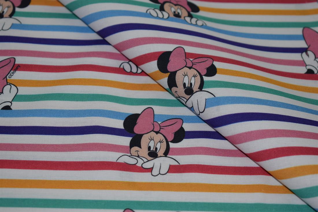 Rainbow Mickey Mouse Printed Design