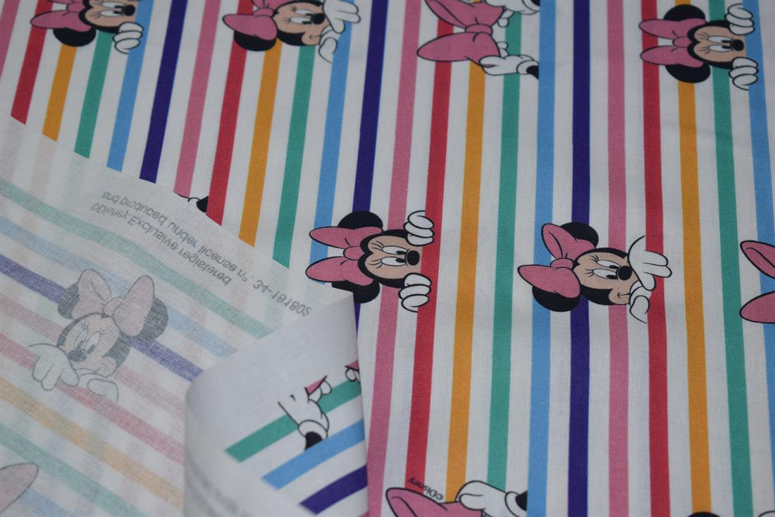Rainbow Mickey Mouse Printed Design