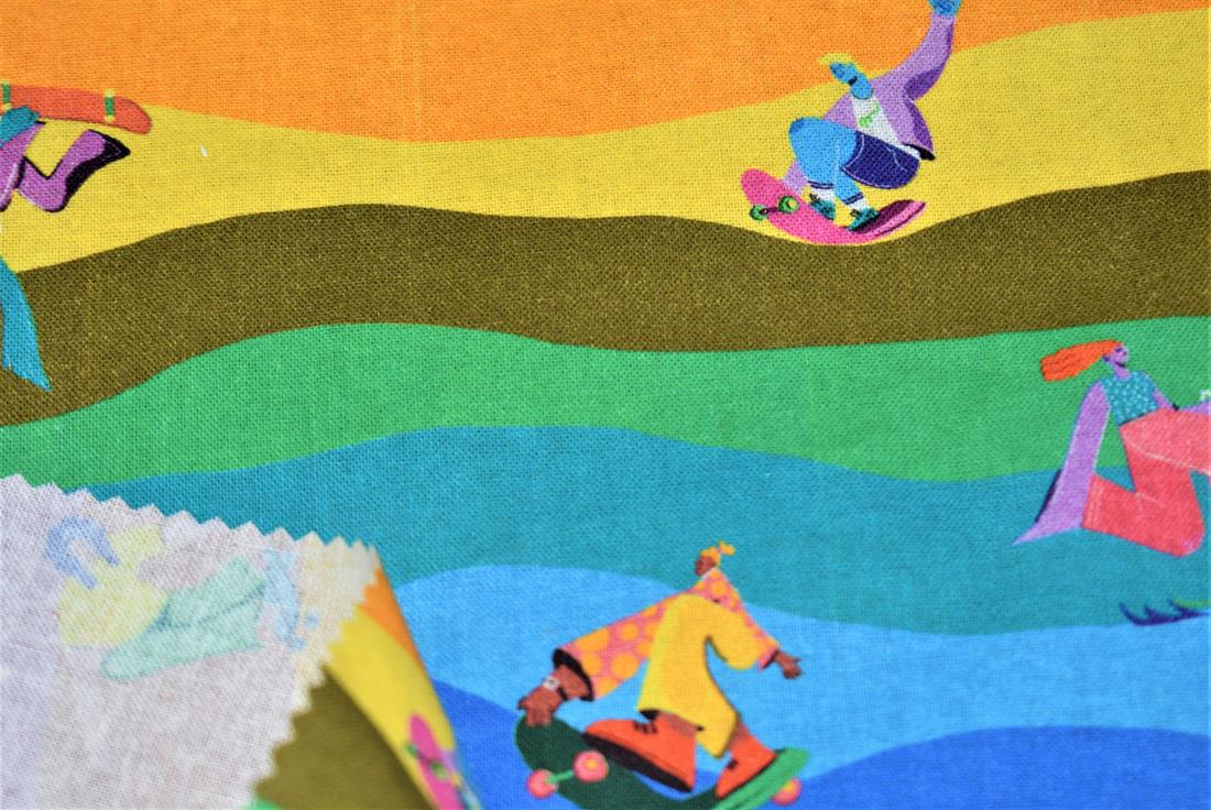 Little Johnny Skate the Rainbow Cotton In the Fabrics