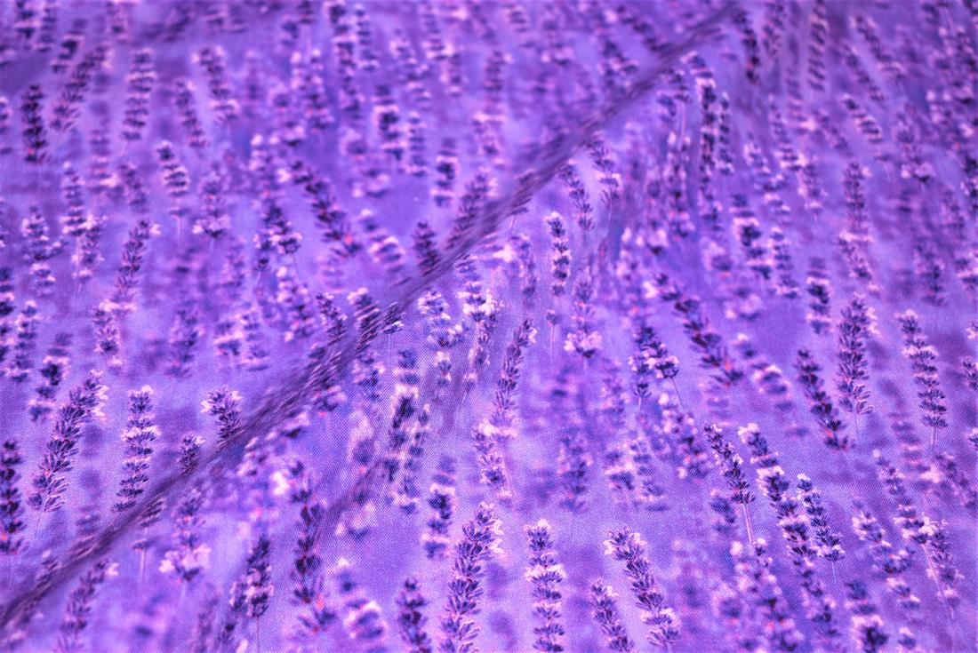 Purple Printed 100% Cotton Fabric