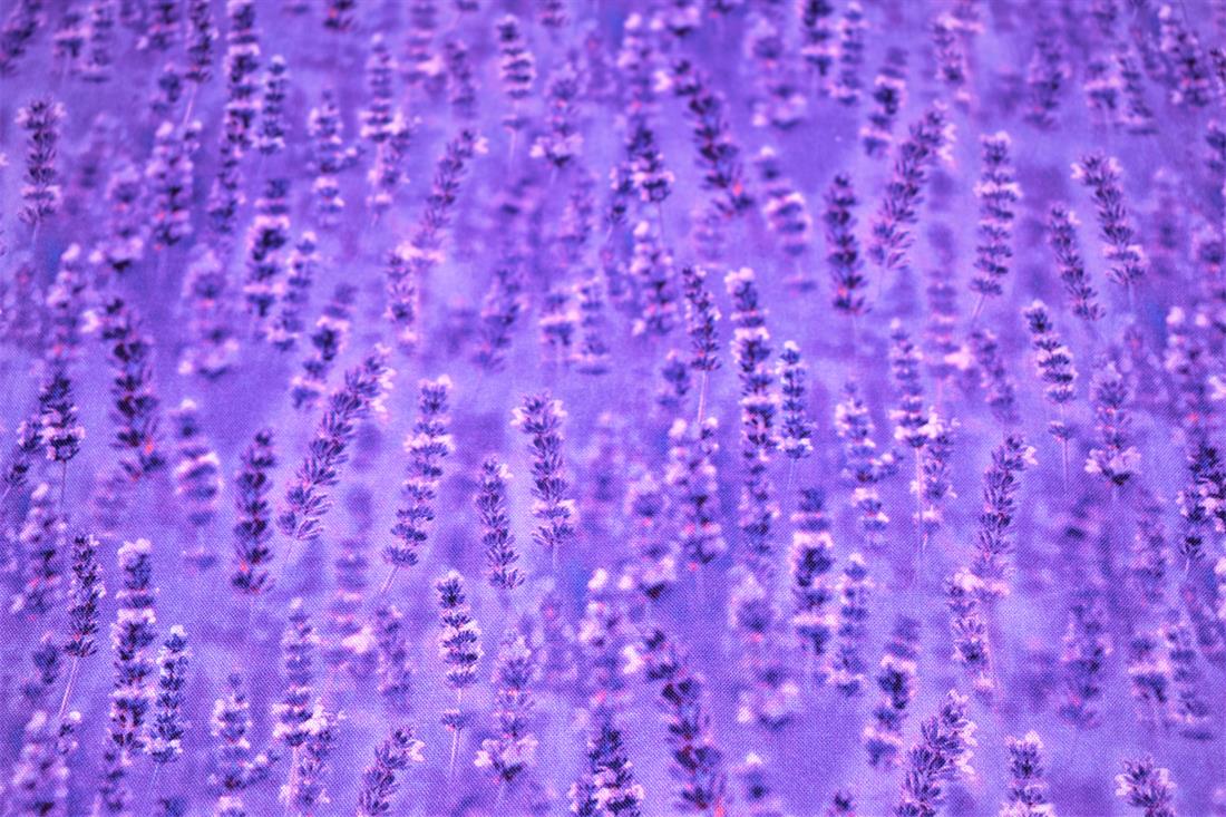 Purple Printed 100% Cotton Fabric