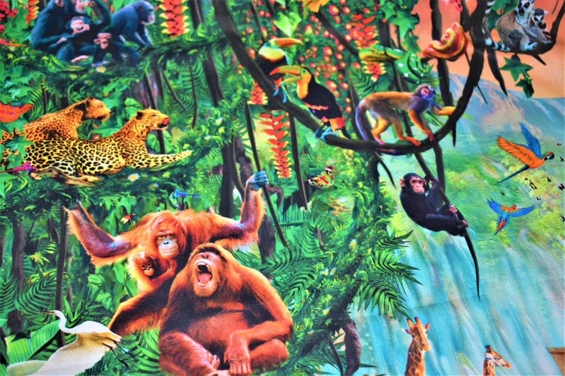 Printed 100% Cotton Fabric
