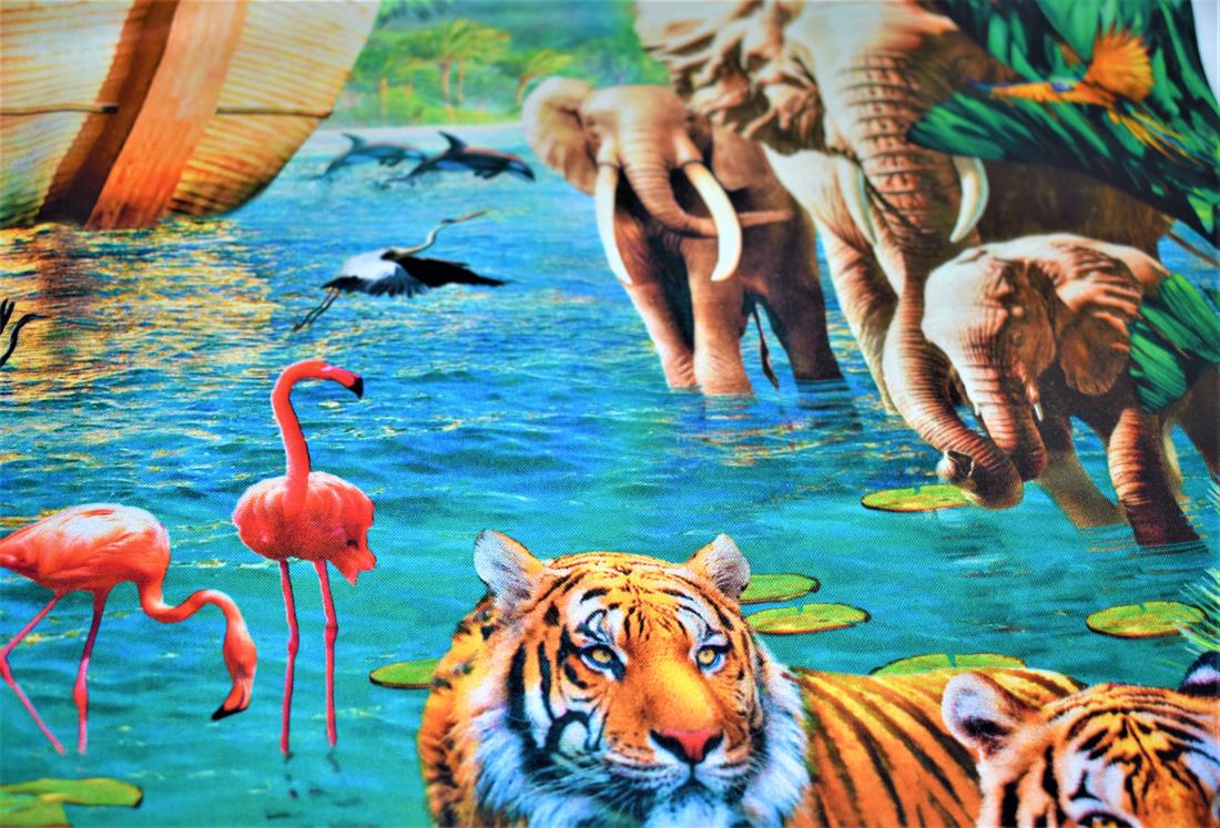 Printed 100% Cotton Fabric