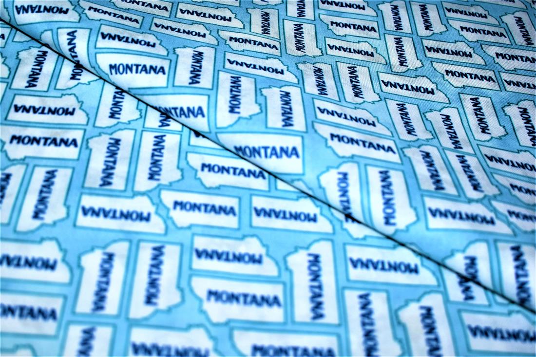 Sky Blue Printed 100% Cotton Fabric